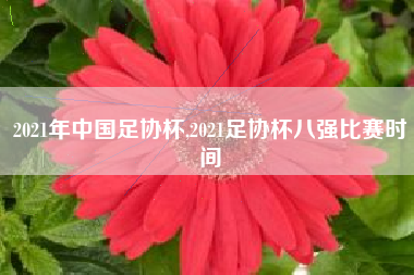 2021年中国足协杯,2021足协杯八强比赛时间