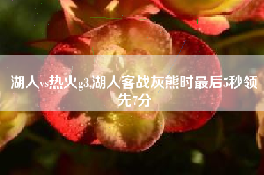 湖人vs热火g3,湖人客战灰熊时最后5秒领先7分