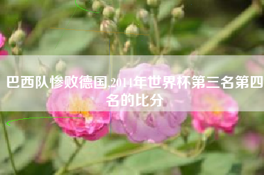 巴西队惨败德国,2014年世界杯第三名第四名的比分