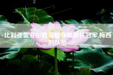 比利亚雷亚尔胜曼联夺欧联杯冠军,梅西的队员