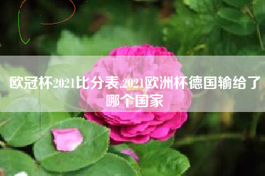 欧冠杯2021比分表,2021欧洲杯德国输给了哪个国家