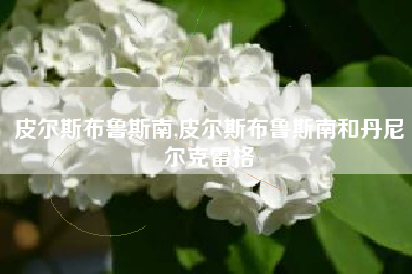 皮尔斯布鲁斯南,皮尔斯布鲁斯南和丹尼尔克雷格