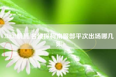 3k832航班,名侦探柯南服部平次出场哪几集