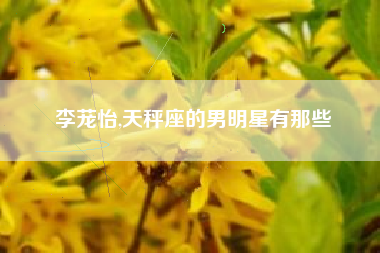 李茏怡,天秤座的男明星有那些