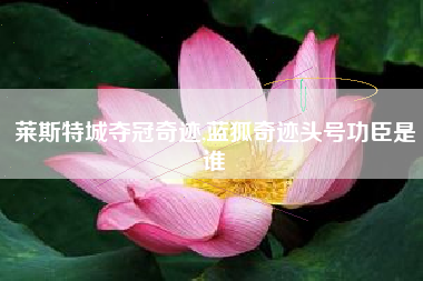 莱斯特城夺冠奇迹,蓝狐奇迹头号功臣是谁