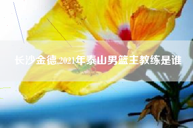 长沙金德,2021年泰山男篮主教练是谁