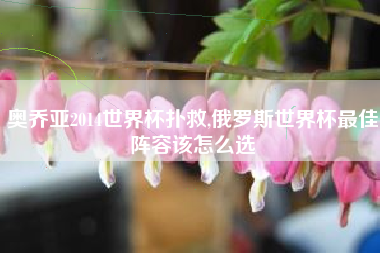 奥乔亚2014世界杯扑救,俄罗斯世界杯最佳阵容该怎么选