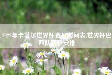 2022年卡塔尔世界杯赛程时间表,世界杯巴西队赛程安排