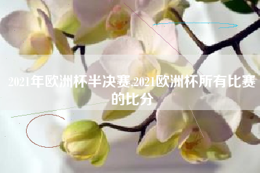 2021年欧洲杯半决赛,2021欧洲杯所有比赛的比分
