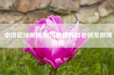 中国篮球微博,如何看待苏群老师发微博辟谣