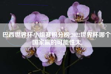 巴西世界杯小组赛积分榜,2022世界杯哪个国家赢的可能性大