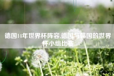 德国14年世界杯阵容,德国与韩国的世界杯小组比赛