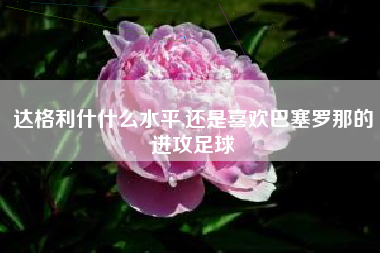 达格利什什么水平,还是喜欢巴塞罗那的进攻足球