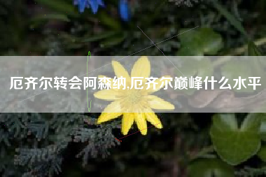 厄齐尔转会阿森纳,厄齐尔巅峰什么水平