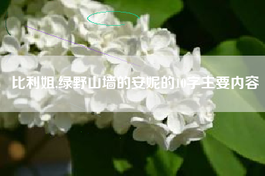 比利姐,绿野山墙的安妮的10字主要内容