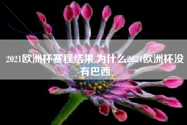 2021欧洲杯赛程结果,为什么2021欧洲杯没有巴西