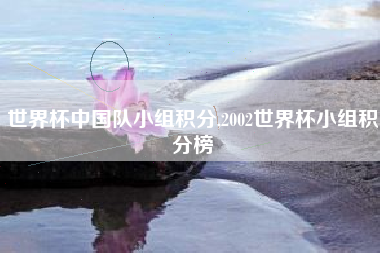 世界杯中国队小组积分,2002世界杯小组积分榜