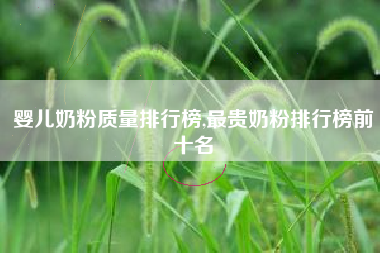 婴儿奶粉质量排行榜,最贵奶粉排行榜前十名