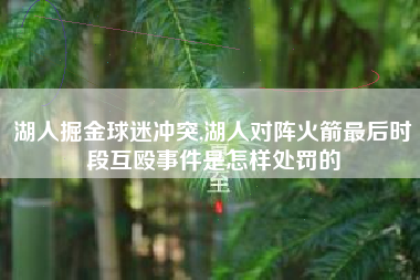 湖人掘金球迷冲突,湖人对阵火箭最后时段互殴事件是怎样处罚的