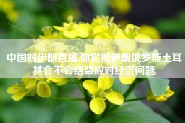 中国对伊朗直播,你觉得伊朗俄罗斯土耳其会不会结盟应对经济问题