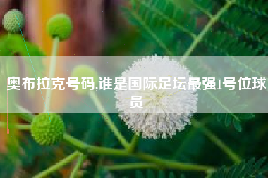 奥布拉克号码,谁是国际足坛最强1号位球员