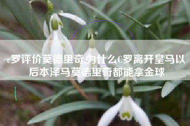 c罗评价莫德里奇,为什么C罗离开皇马以后本泽马莫德里奇都能拿金球