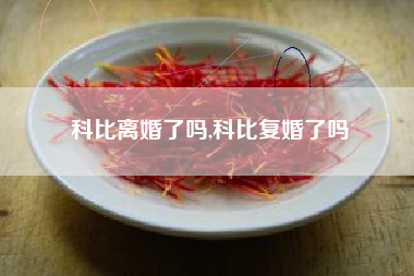 科比离婚了吗,科比复婚了吗