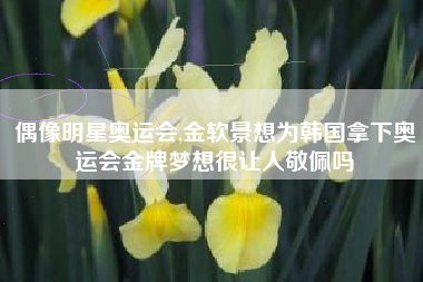 偶像明星奥运会,金软景想为韩国拿下奥运会金牌梦想很让人敬佩吗