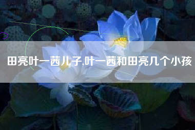 田亮叶一茜儿子,叶一茜和田亮几个小孩