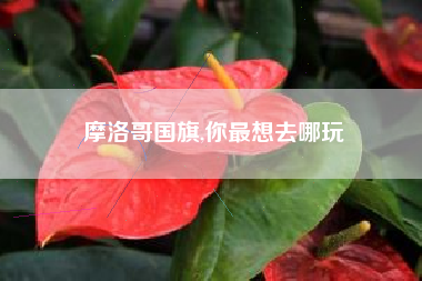 摩洛哥国旗,你最想去哪玩