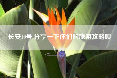 长安10号,分享一下你们的旅游攻略呗