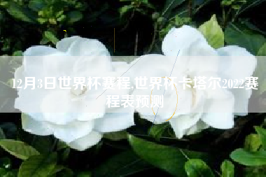 12月3日世界杯赛程,世界杯卡塔尔2022赛程表预测