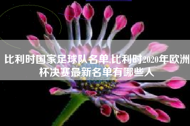 比利时国家足球队名单,比利时2020年欧洲杯决赛最新名单有哪些人