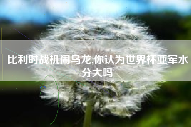 比利时战机闹乌龙,你认为世界杯亚军水分大吗