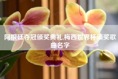 阿根廷夺冠颁奖典礼,梅西世界杯颁奖歌曲名字