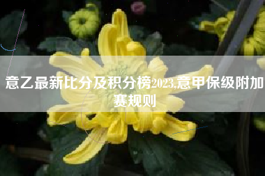 意乙最新比分及积分榜2023,意甲保级附加赛规则