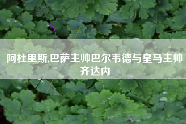阿杜里斯,巴萨主帅巴尔韦德与皇马主帅齐达内
