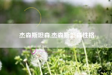 杰森斯坦森,杰森斯坦森性格