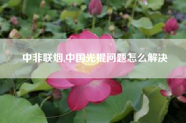 中非联烟,中国光棍问题怎么解决