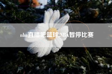 nba直播吧篮球,NBA暂停比赛