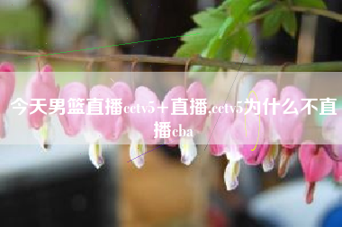 今天男篮直播cctv5+直播,cctv5为什么不直播cba