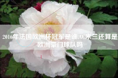 2016年法国欧洲杯冠军是谁,AC米兰还算是欧洲豪门球队吗