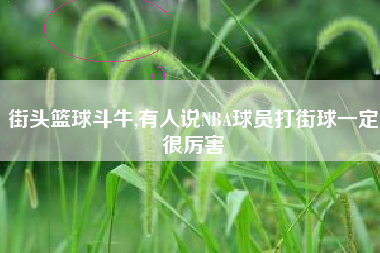 街头篮球斗牛,有人说NBA球员打街球一定很厉害