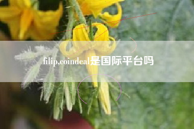 filip,coindeal是国际平台吗