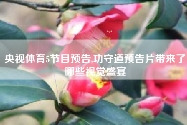 央视体育5节目预告,功守道预告片带来了哪些视觉盛宴