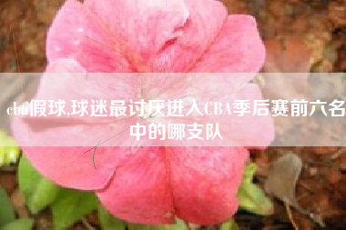 cba假球,球迷最讨厌进入CBA季后赛前六名中的哪支队