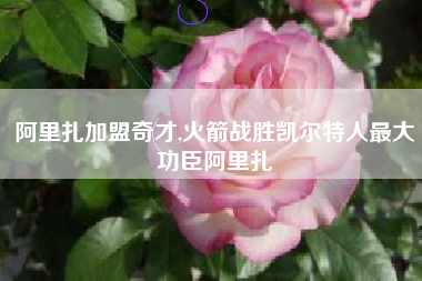 阿里扎加盟奇才,火箭战胜凯尔特人最大功臣阿里扎