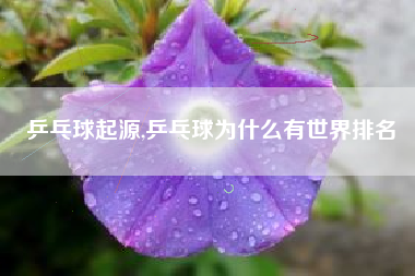 乒乓球起源,乒乓球为什么有世界排名