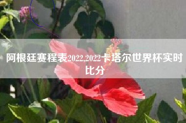 阿根廷赛程表2022,2022卡塔尔世界杯实时比分