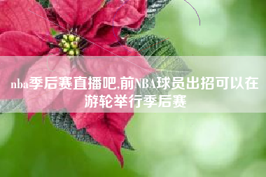 nba季后赛直播吧,前NBA球员出招可以在游轮举行季后赛